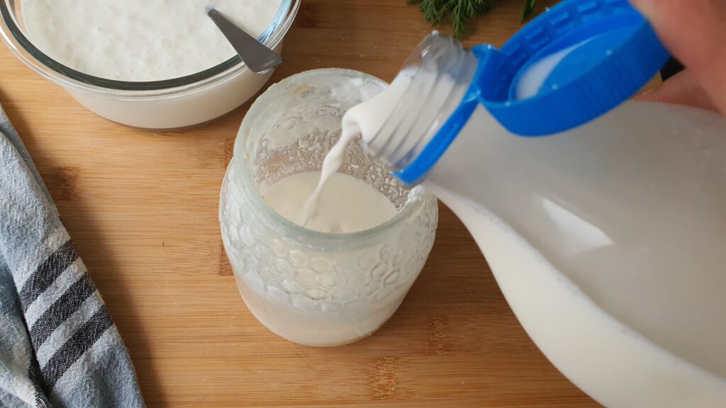 ¿Qué leche se utiliza para hacer kéfir?